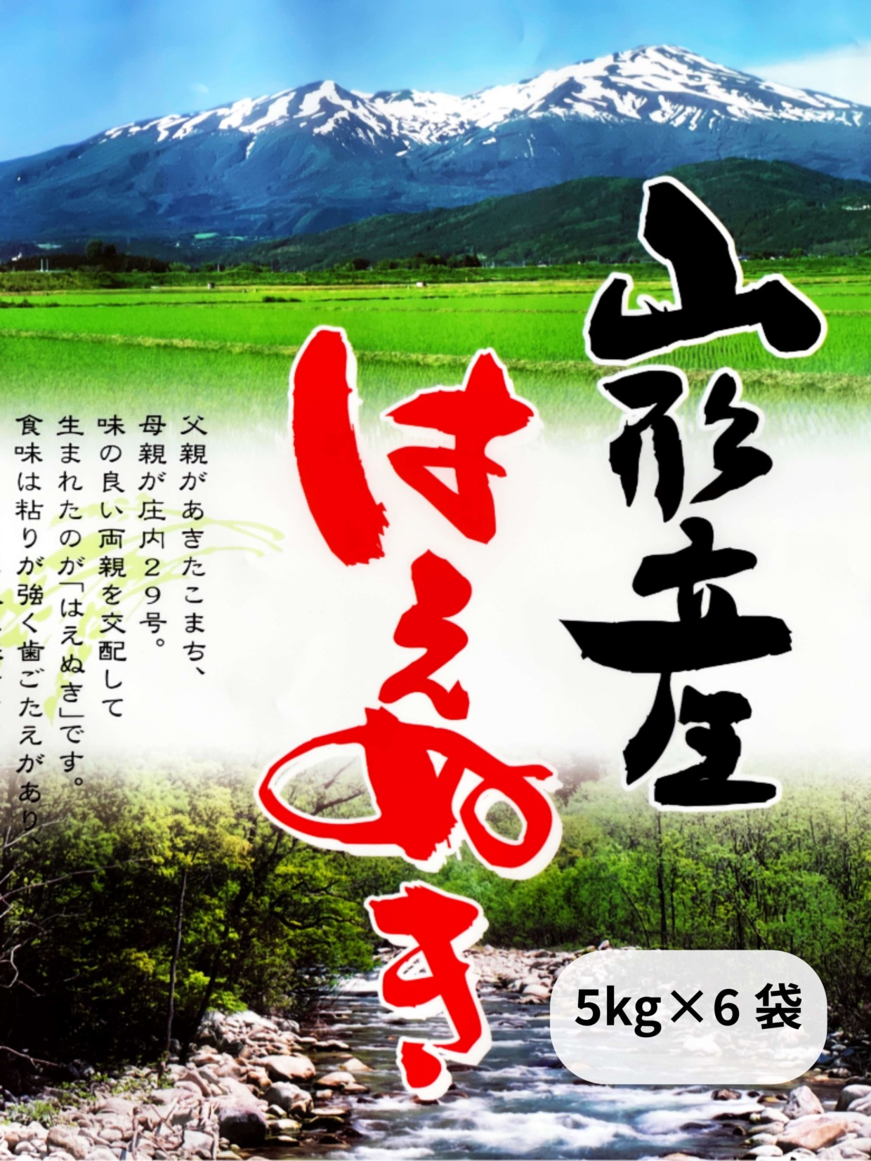 【新米】【令和6年産】山形産はえぬき・30kg