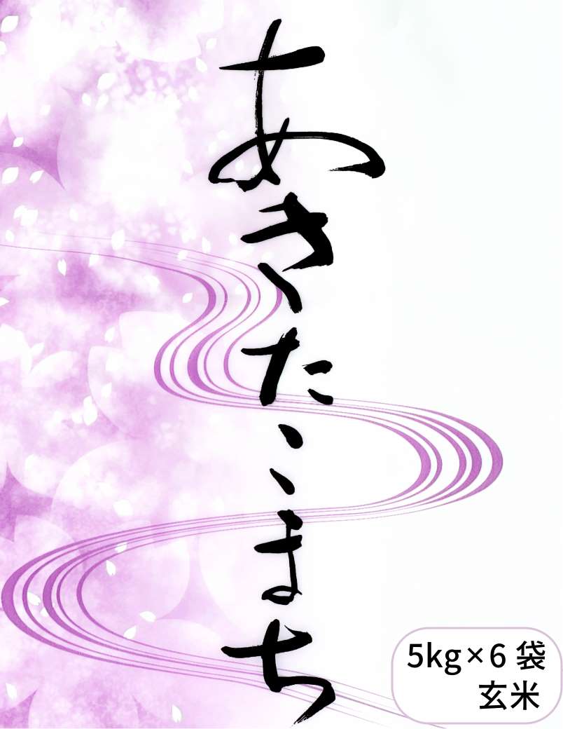 【新米】【令和6年産】山形産あきたこまち・30kg玄米