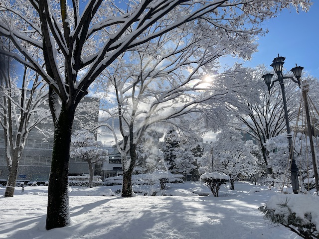 山形_雪景色